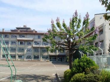 川越市立中央小学校の画像