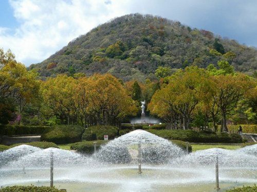 兵庫県立甲山森林公園の画像