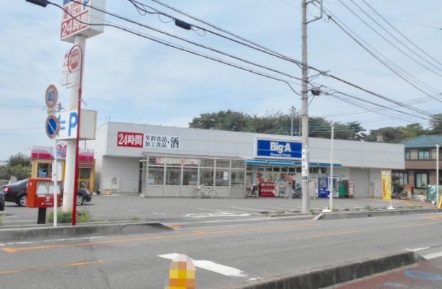 ビッグ・エー さいたま別所町店の画像