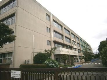 鶴ヶ島市立栄小学校の画像