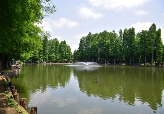 別所沼公園の画像