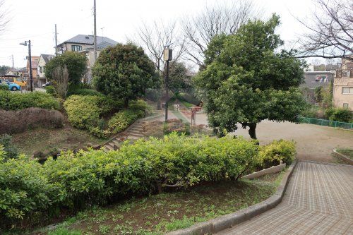 練馬区立中里泉公園の画像