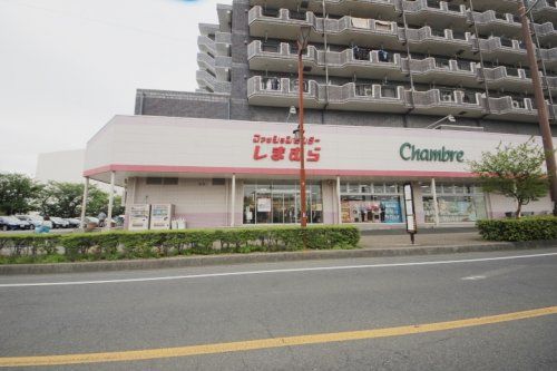 しまむら野火止店の画像