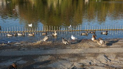 鶴見緑地公園の画像