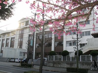 豊橋市立羽根井小学校の画像