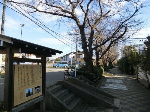 桜土手公園の画像