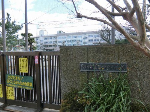 市川市立百合台小学校の画像