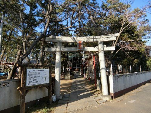 諏訪神社 (千葉県市川市)の画像