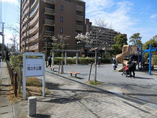 桂の木公園の画像