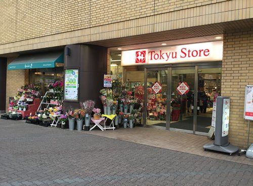 東急ストア大森店の画像