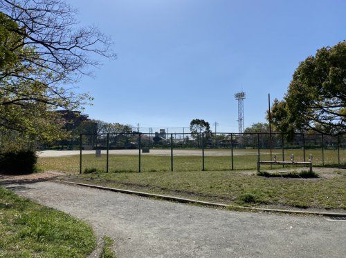 野田公園野球場の画像