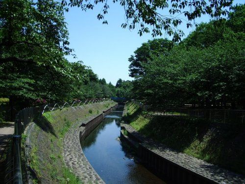 善福寺川緑地の画像