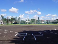 善福寺川緑地 野球場の画像