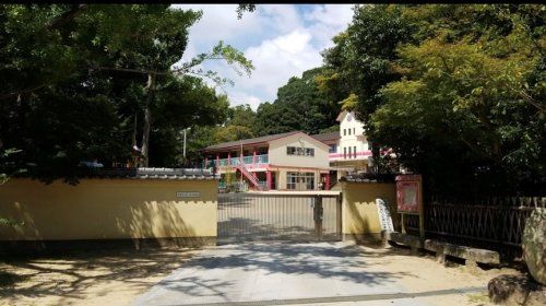 禅昌寺幼稚園の画像