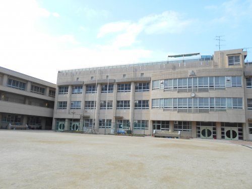 名古屋市立柳小学校の画像