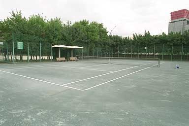 荒子川公園テニスコートの画像