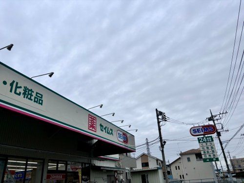 ドラッグセイムス 人形店の画像