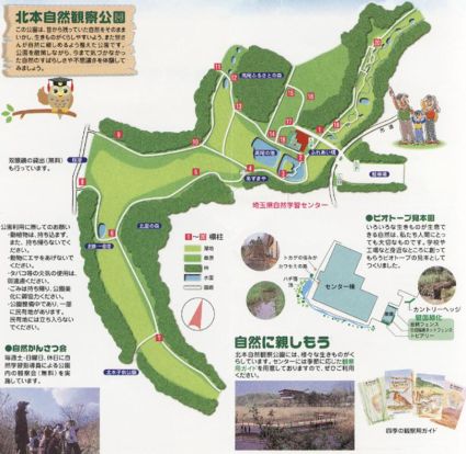 北本自然観察公園の画像