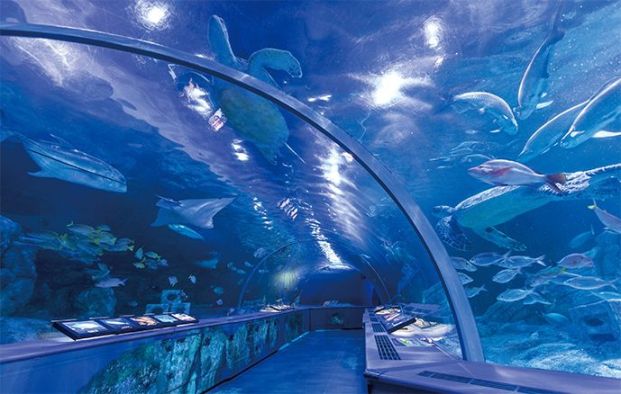 しながわ水族館 (bikeshareポート)の画像