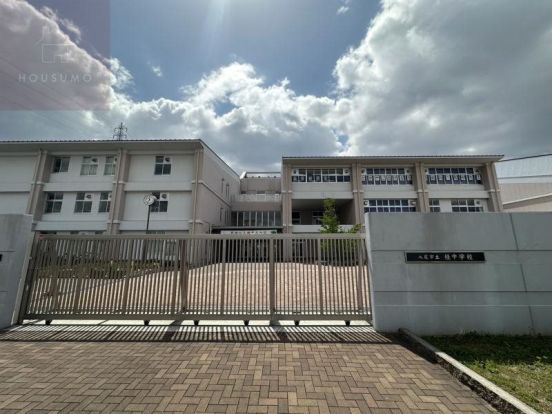八尾市立 桂中学校の画像