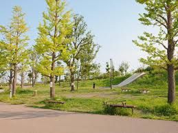 二子玉川公園の画像