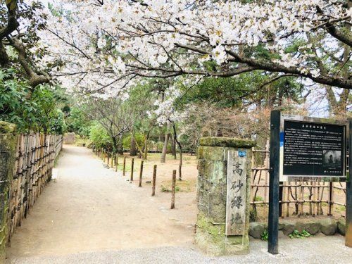 高砂緑地の画像