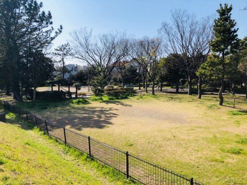 藤が谷公園の画像