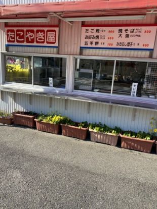 たこやき屋の画像