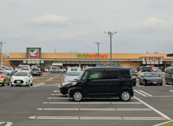 ヨークベニマル金屋店の画像