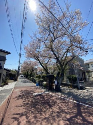 桜土手公園の画像