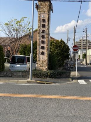 支留比亜中野橋店の画像