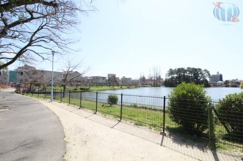 桃ケ池公園の画像