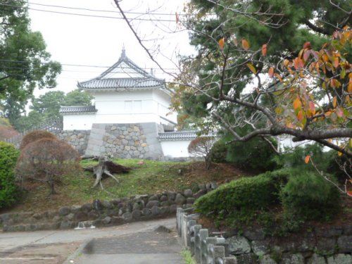 小田原城址公園の画像