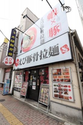 えび豚骨拉麺 春樹 西大島店の画像