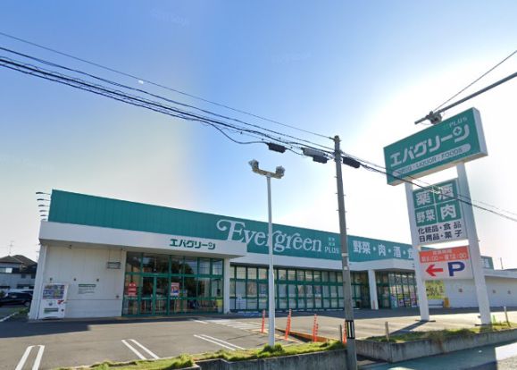 エバグリーンプラス和泉芦部店の画像