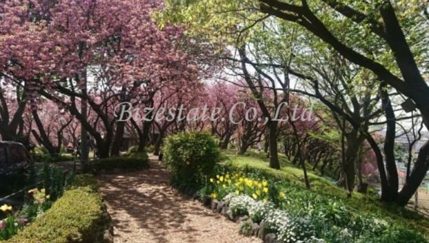 菊名桜山公園の画像