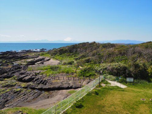 天神島臨海自然教育園の画像