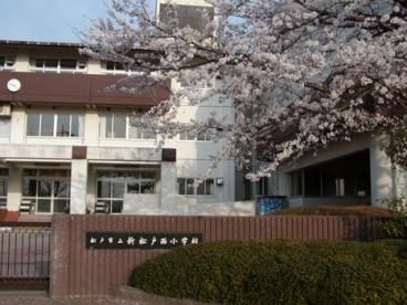 松戸市立新松戸西小学校の画像