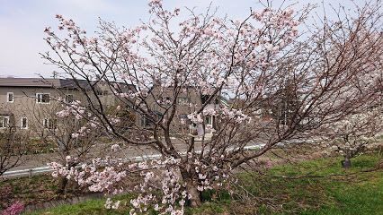 幼保連携型認定こども園 まつばの杜の画像