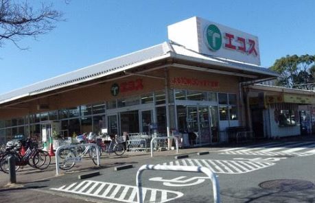 TAIRAYA川鶴店の画像