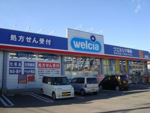 ウエルシア八王子川口店の画像