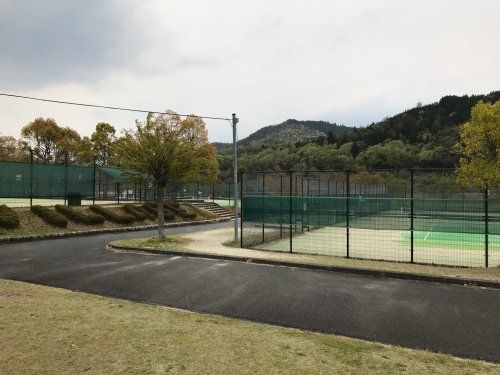 大石緑地スポーツ村の画像