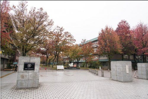 愛媛大学の画像
