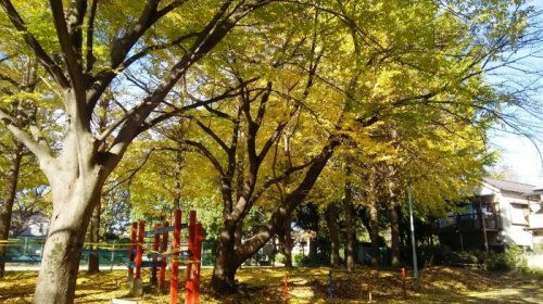 神山堂阪公園の画像