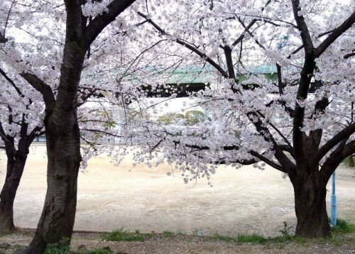 長柄東河川グラウンドの画像