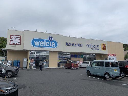 ウエルシア大津木の岡店の画像