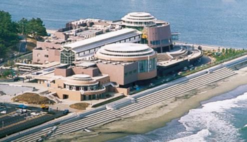 アクアワールド茨城県大洗水族館の画像