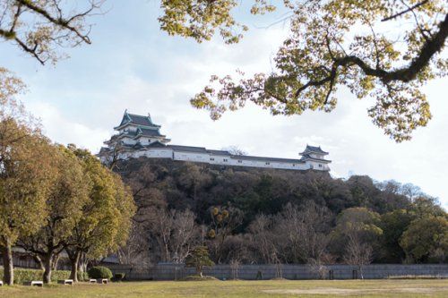 和歌山城公園の画像