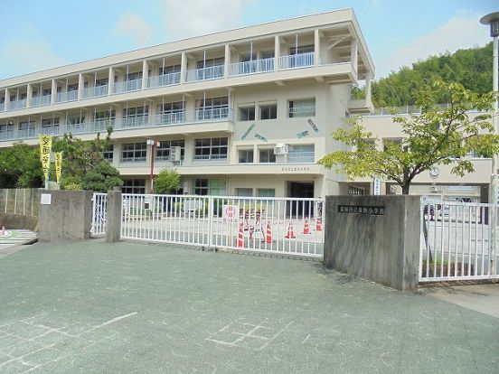 泉野小学校の画像