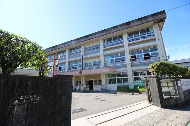 秦小学校の画像